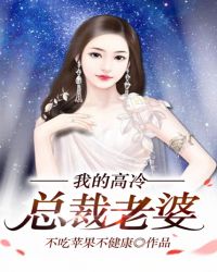我的高冷总裁老婆免费读